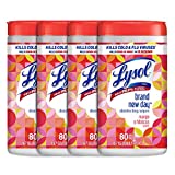 Lysol Disinfectant Wipes, Multi-Surface Disinfectant Cleaning Wipes, For Disinfecting and Cleaning, Mango & Hibiscus, 80 Count (Pack of 4)