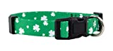 Native Pup St. Patrick’s Day Dog Collars (Large, Lucky Shamrock)