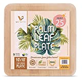 Verterra 10-Inch Palm Leaf Plate, Square Premium Heavy Duty, Eco-Friendly, Dinnerware Like Bamboo for Wedding, Events Party (25-Pack)