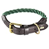 Embark Pets Country Dog Rope Collar – Braided Cotton and Rolled Leather Dog Collar for Large Dogs – Durable Dog Collars for Large Dogs and Strong Build for Training, Walking, Running (X-Large, Green)