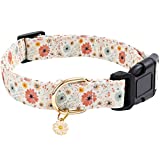 Faygarsle Cotton Designer Dogs Collar Cute Flower Dog Collars for Girl Female Small Medium Large Dogs with Flower Charms S
