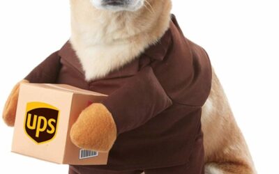 UPS Halloween Dog Costume